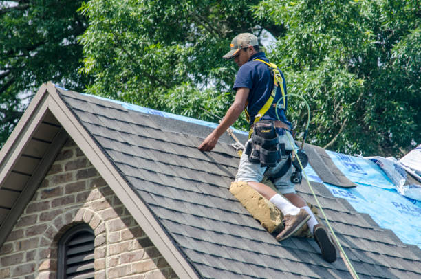 Professional Roofing Contractor in Perryville, MO